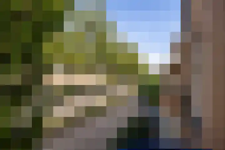 Heemraadserf 15 Houten thumbnail 35