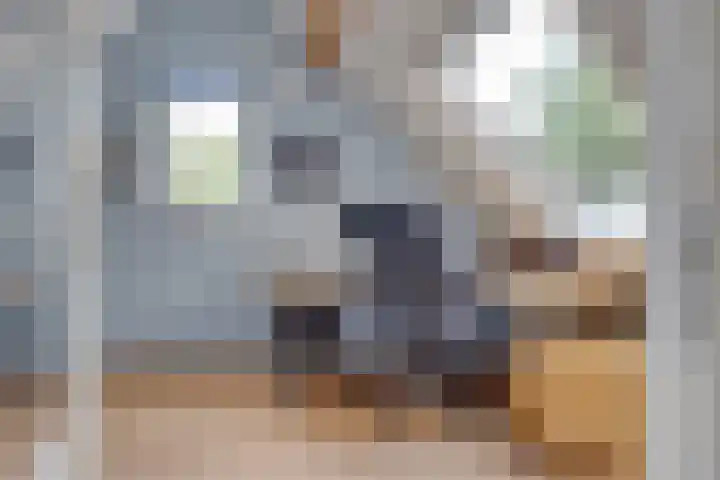 Heemraadserf 15 Houten thumbnail 39