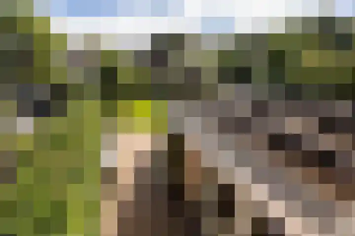 Heemraadserf 15 Houten thumbnail 50