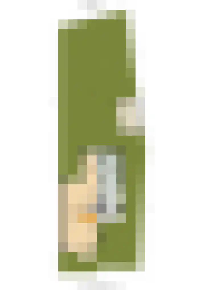 Heemraadserf 15 Houten thumbnail 62