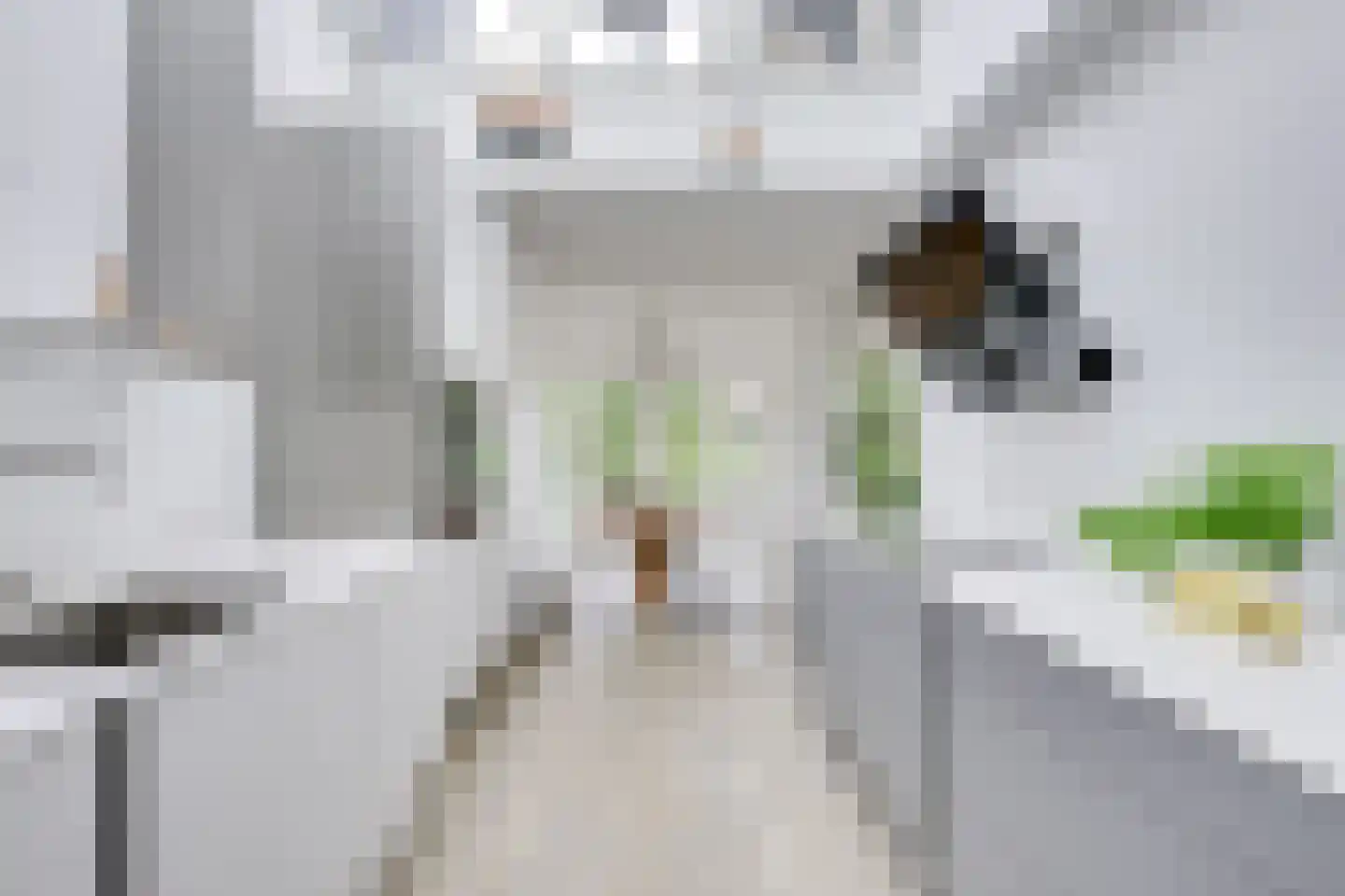 Heemraadserf 18 Houten thumbnail 22