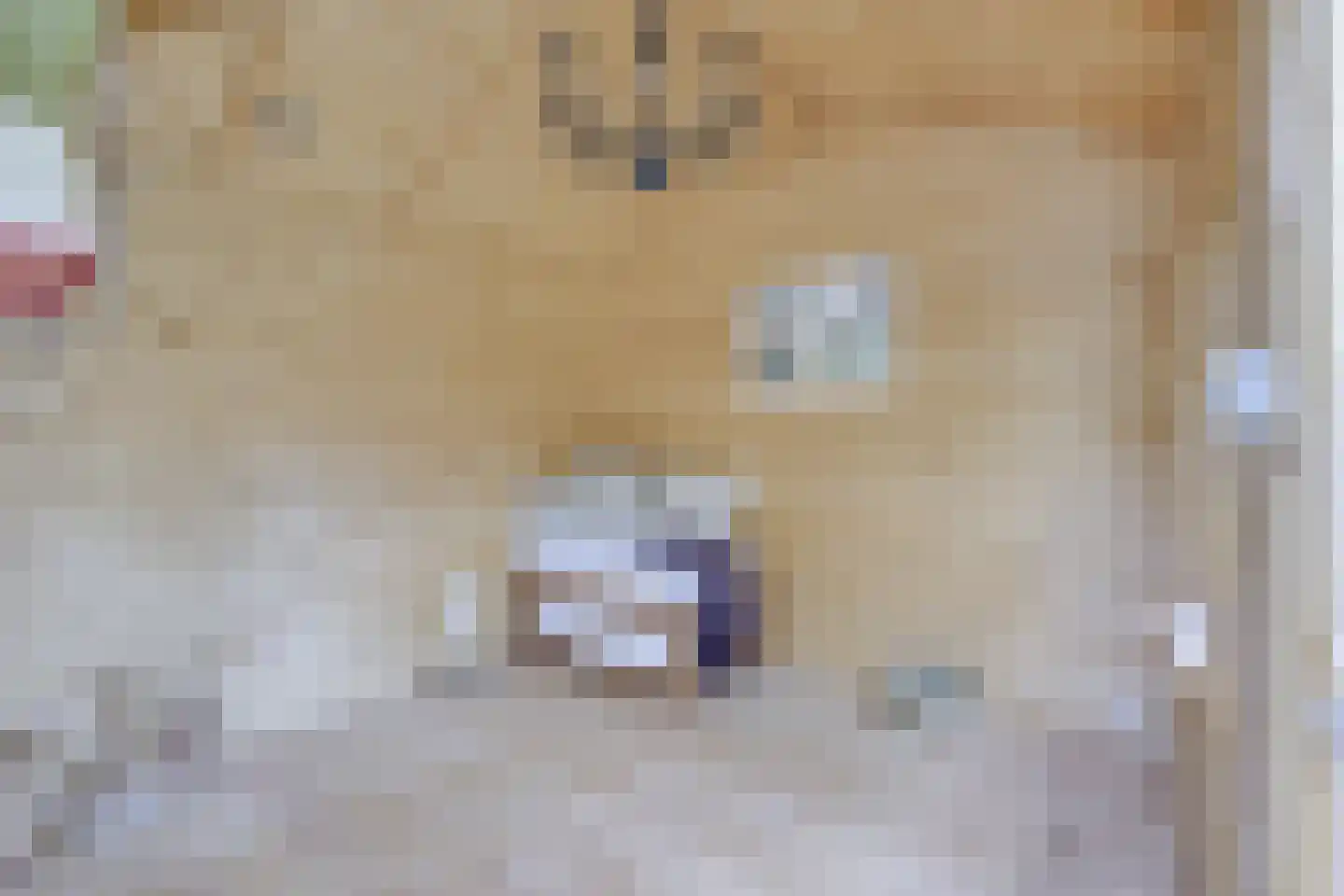 Heemraadserf 18 Houten thumbnail 35