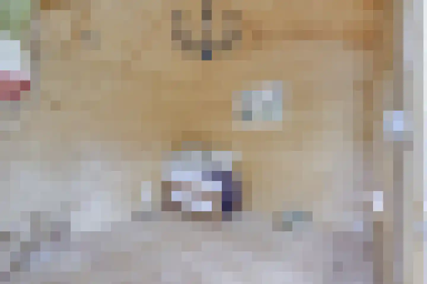 Heemraadserf 18 Houten thumbnail 36
