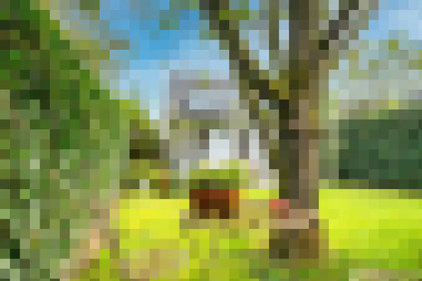 Heemraadserf 18 Houten thumbnail 38