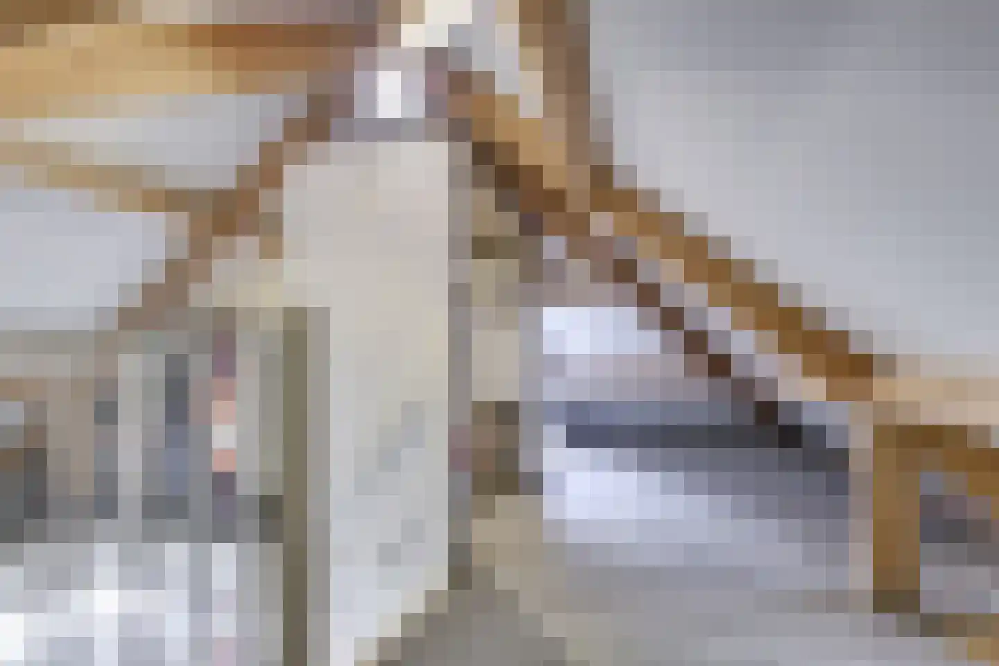 Heemraadserf 18 Houten thumbnail 66
