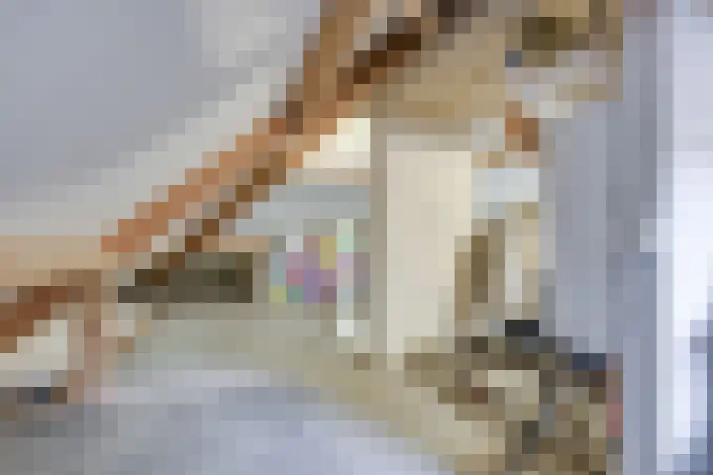 Heemraadserf 18 Houten thumbnail 67