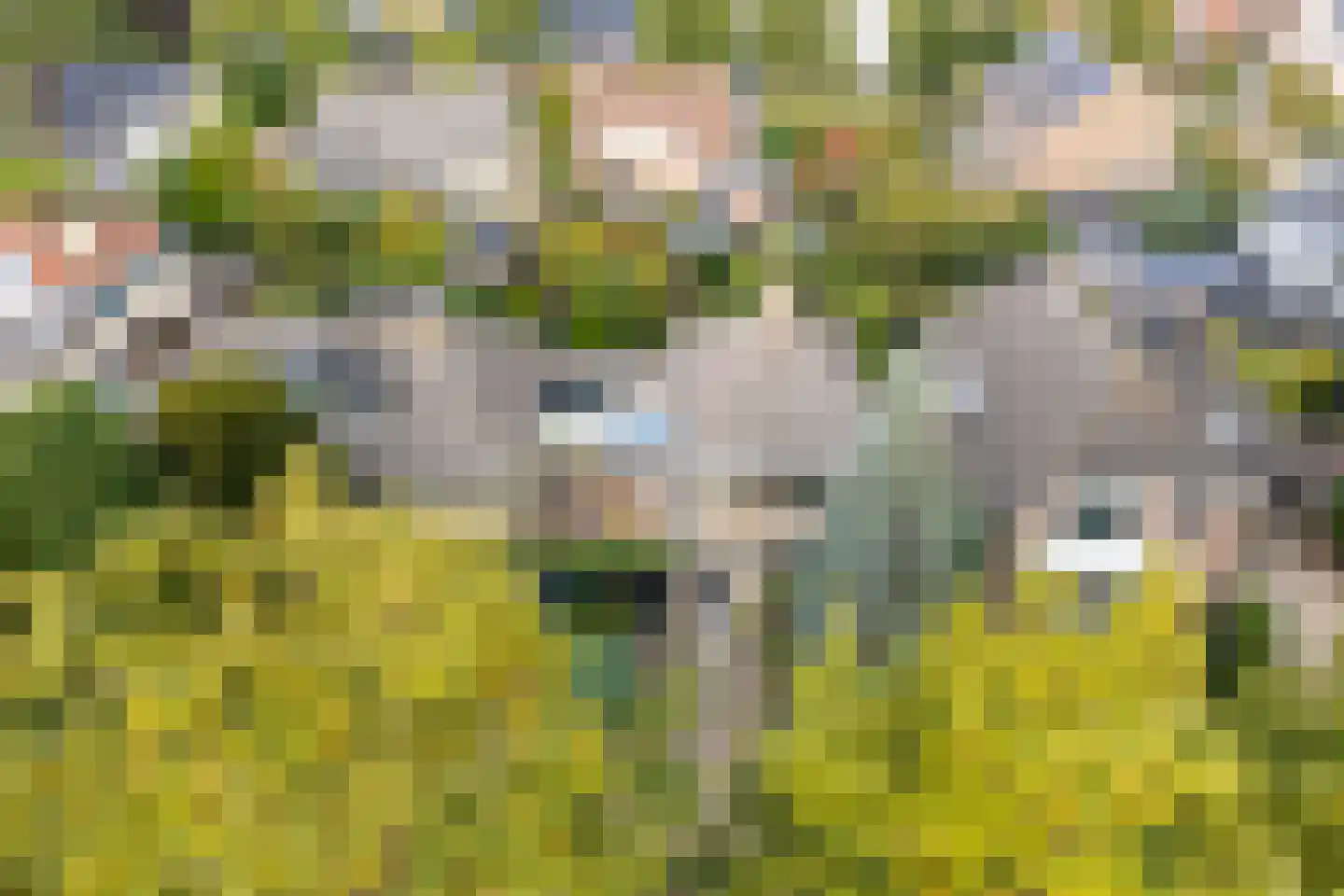 Heemraadserf 18 Houten thumbnail 75
