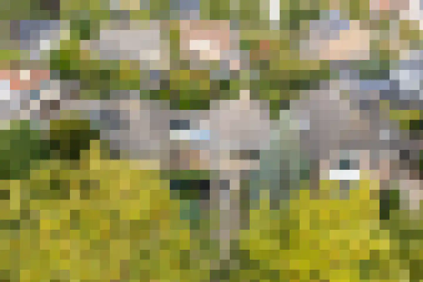Heemraadserf 18 Houten thumbnail 76