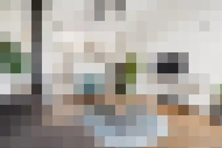 Heemraadserf 4 Houten thumbnail 13