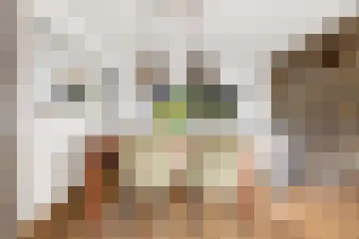 Heemraadserf 4 Houten thumbnail 24