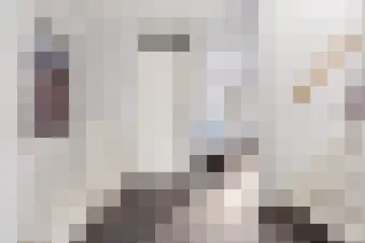 Heemraadserf 4 Houten thumbnail 26