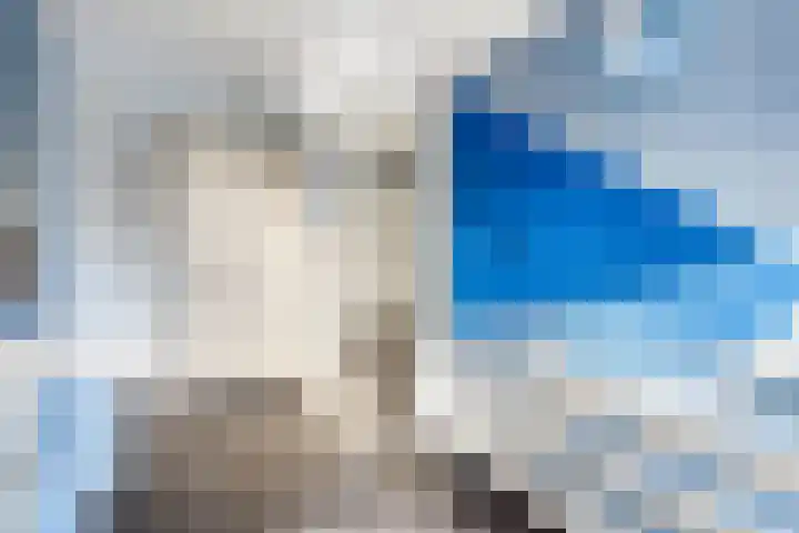 Heemraadserf 4 Houten thumbnail 32