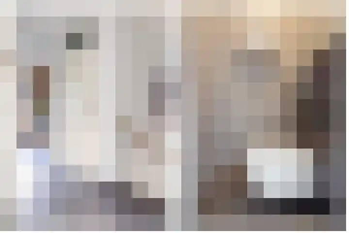 Heemraadserf 4 Houten thumbnail 34