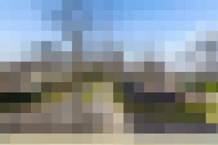 Heemraadserf 4 Houten thumbnail 49