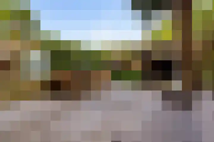 Heemraadserf 4 Houten thumbnail 53