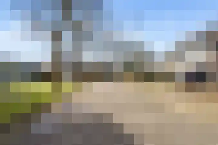 Heemraadserf 4 Houten thumbnail 61