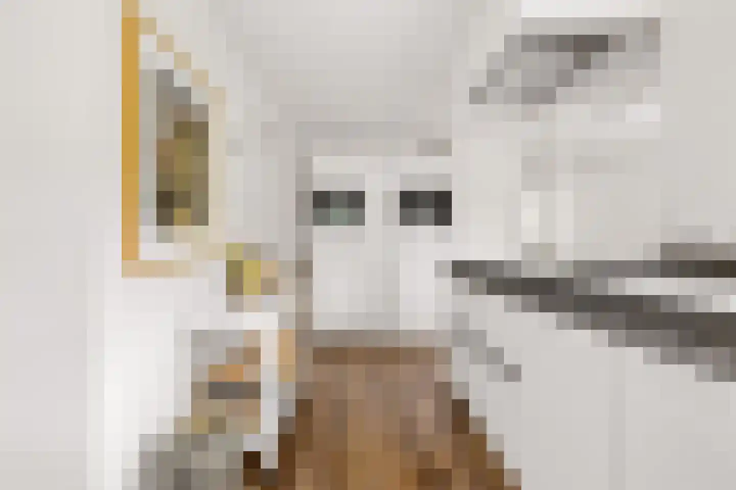 Heemraadserf 44 Houten thumbnail 18
