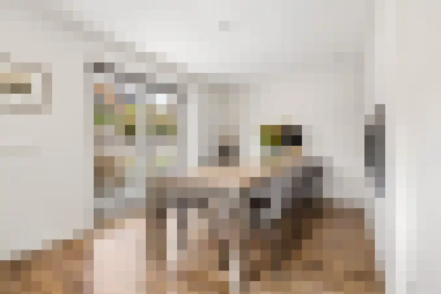 Heemraadserf 44 Houten thumbnail 21