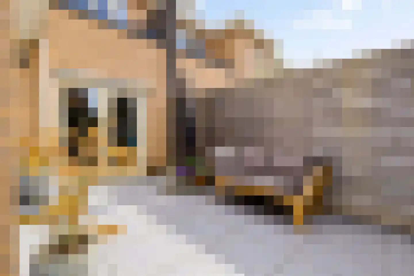 Heemraadserf 44 Houten thumbnail 37