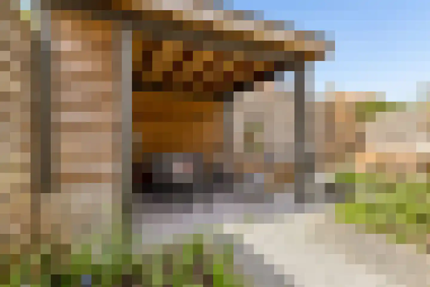 Heemraadserf 44 Houten thumbnail 39