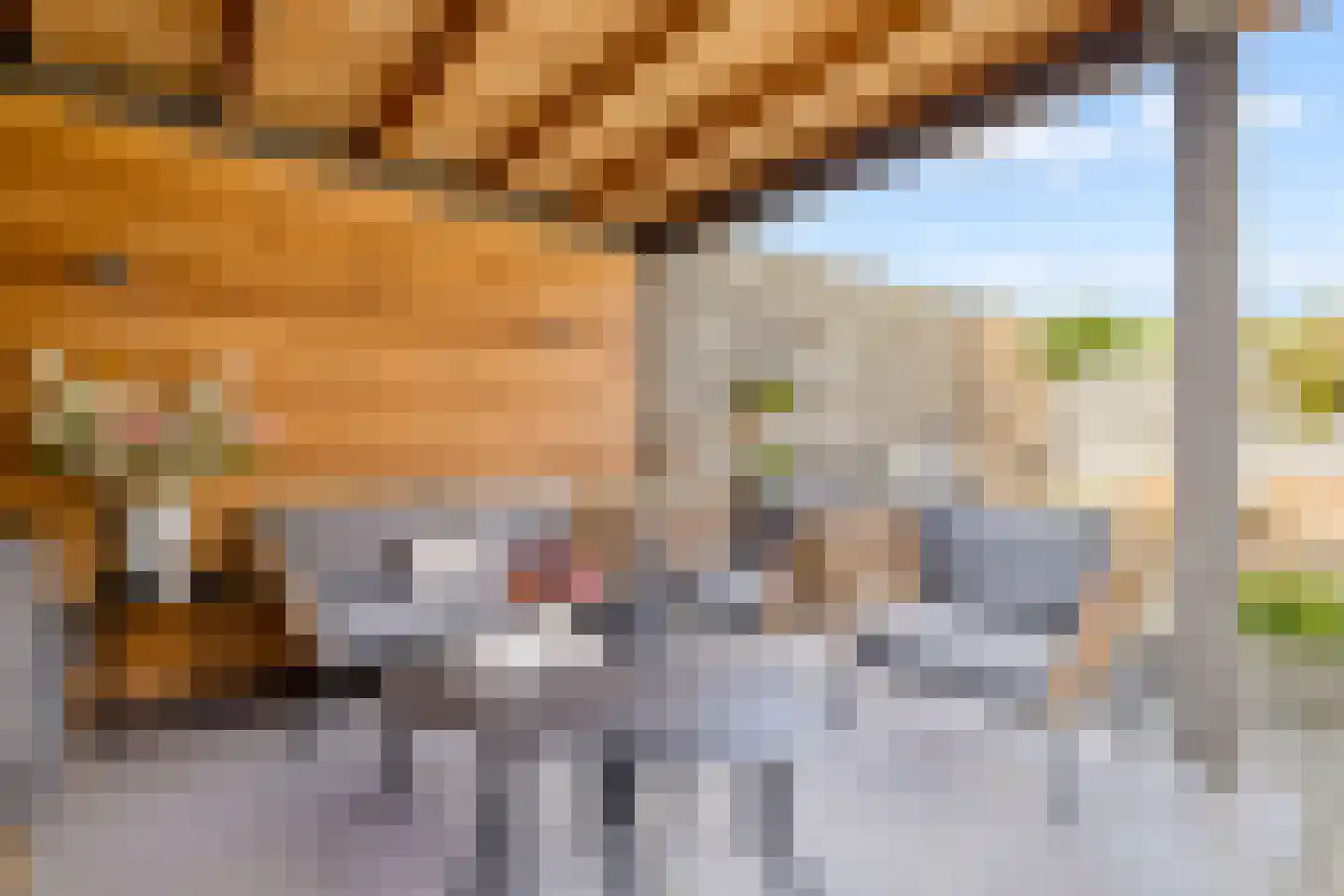 Heemraadserf 44 Houten thumbnail 40