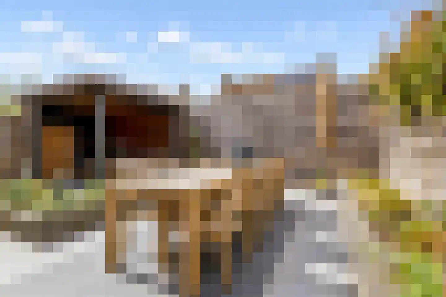 Heemraadserf 44 Houten thumbnail 41