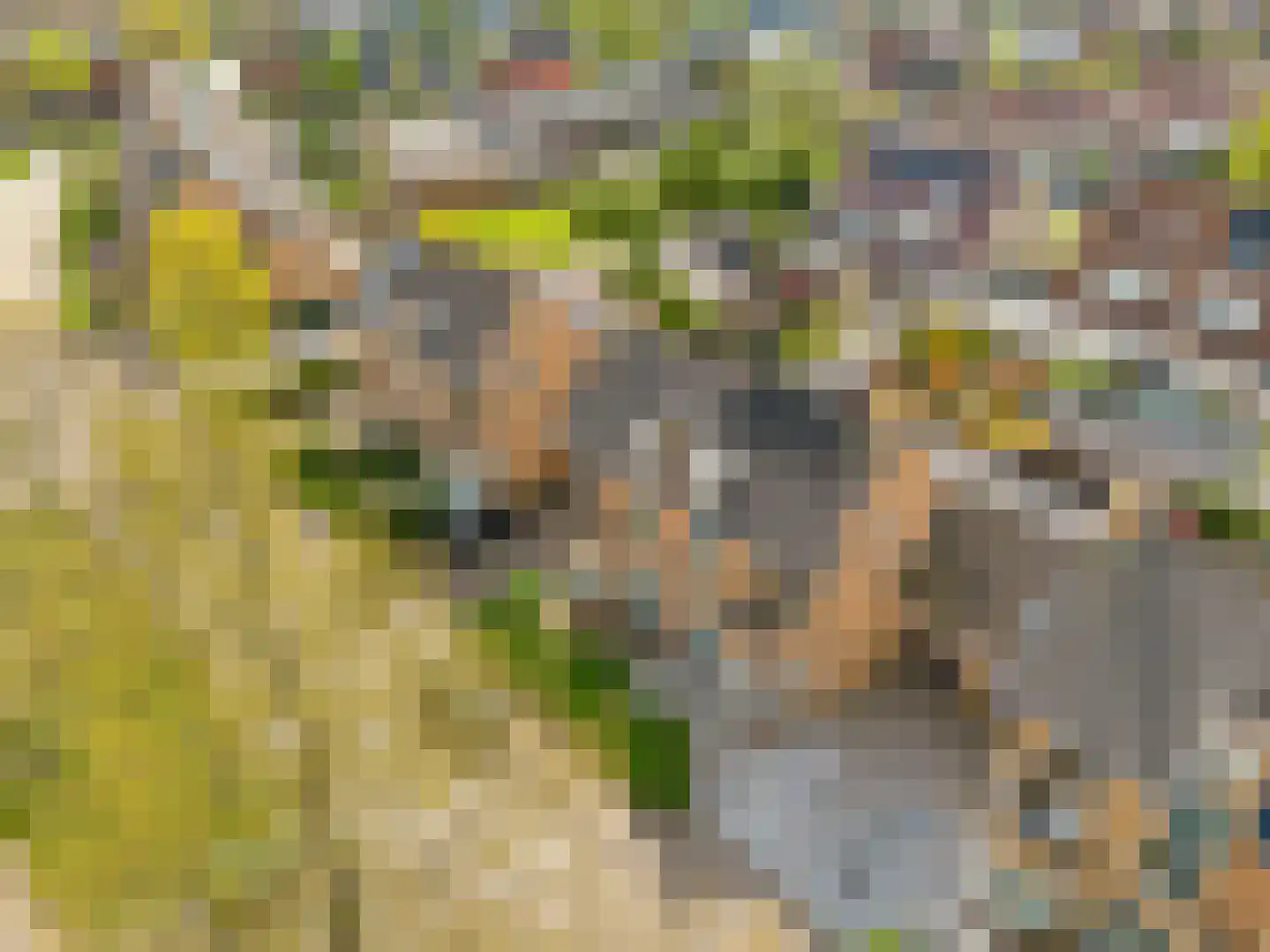 Heemraadserf 44 Houten thumbnail 51