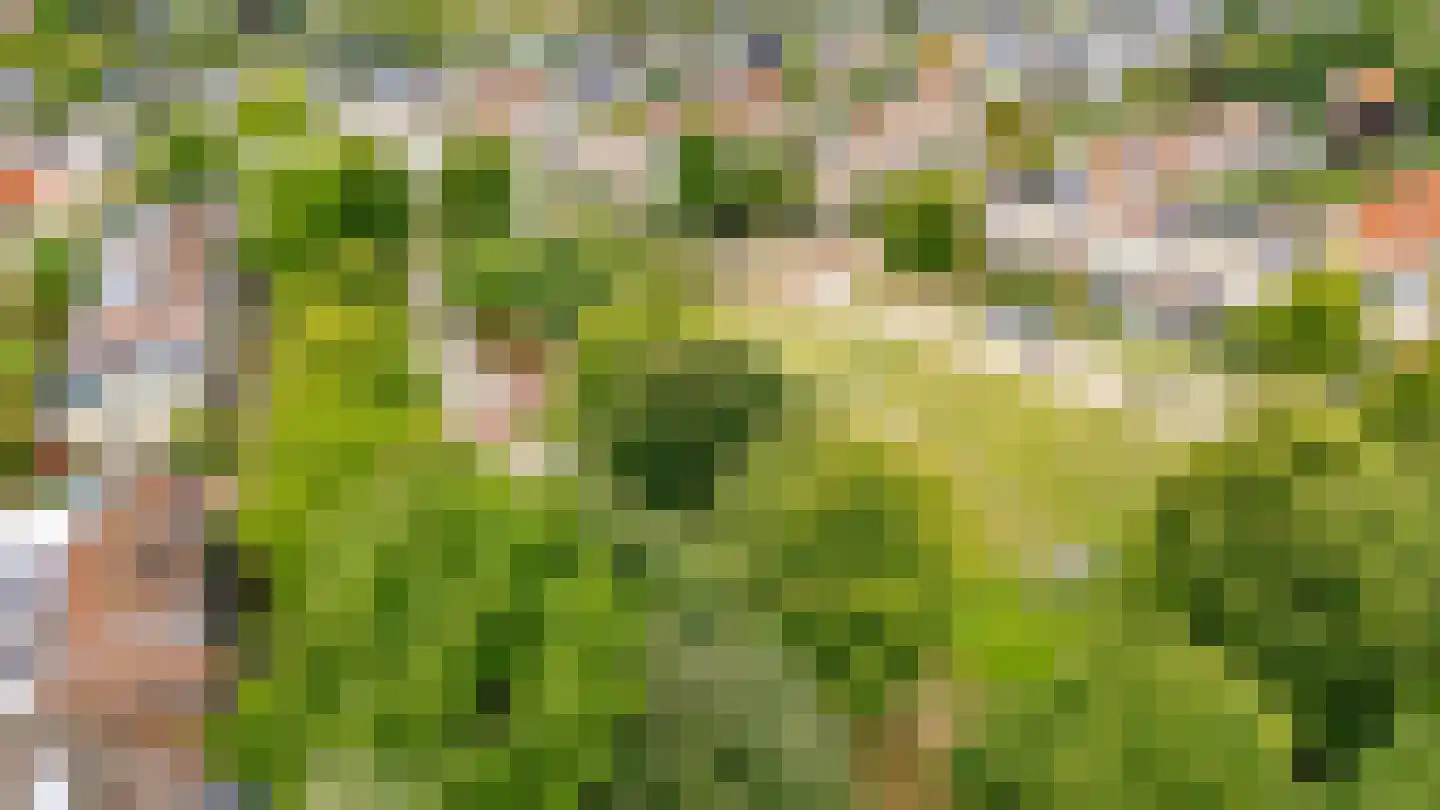 Heemraadserf 44 Houten thumbnail 52