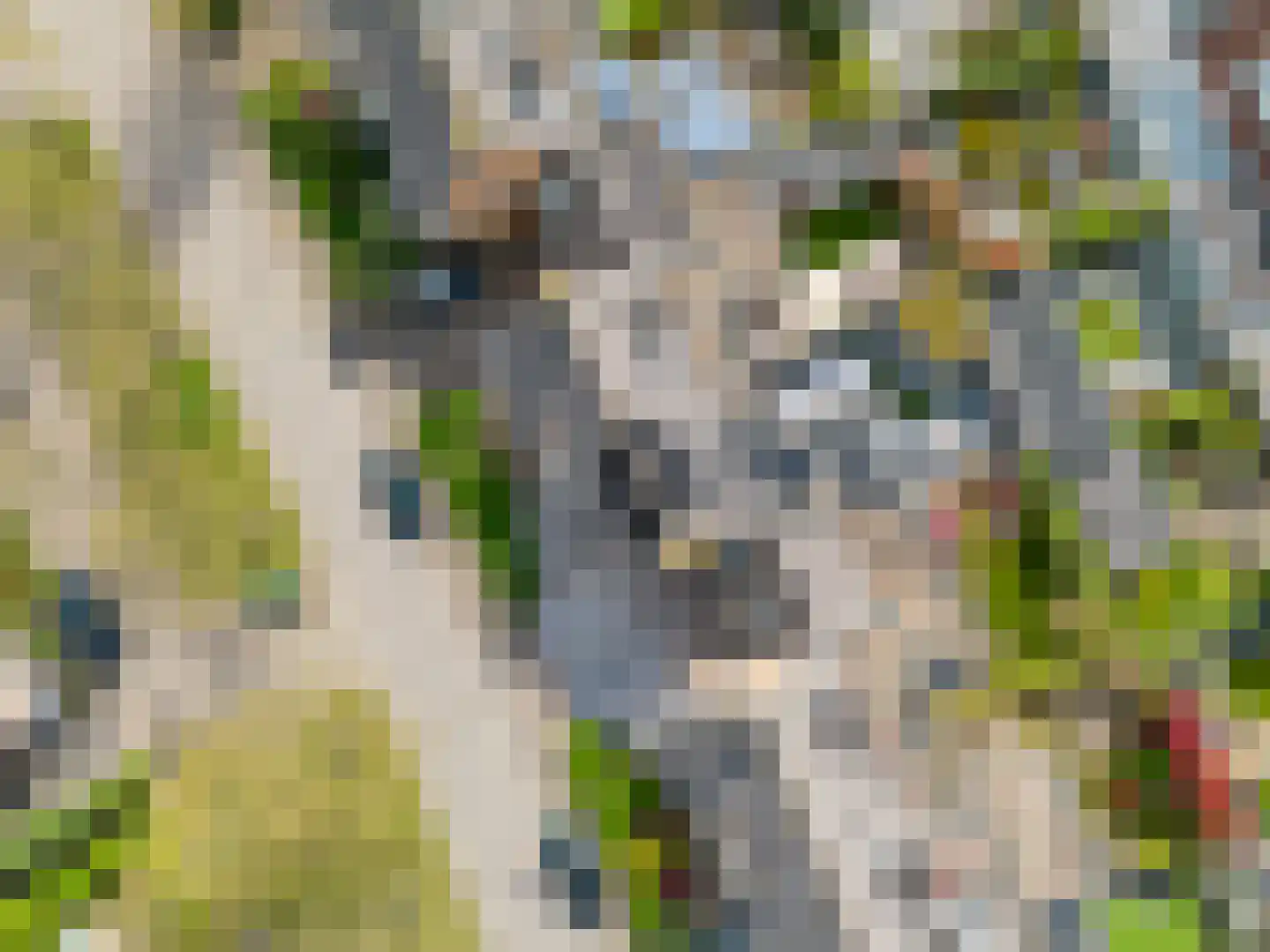 Heemraadserf 44 Houten thumbnail 53