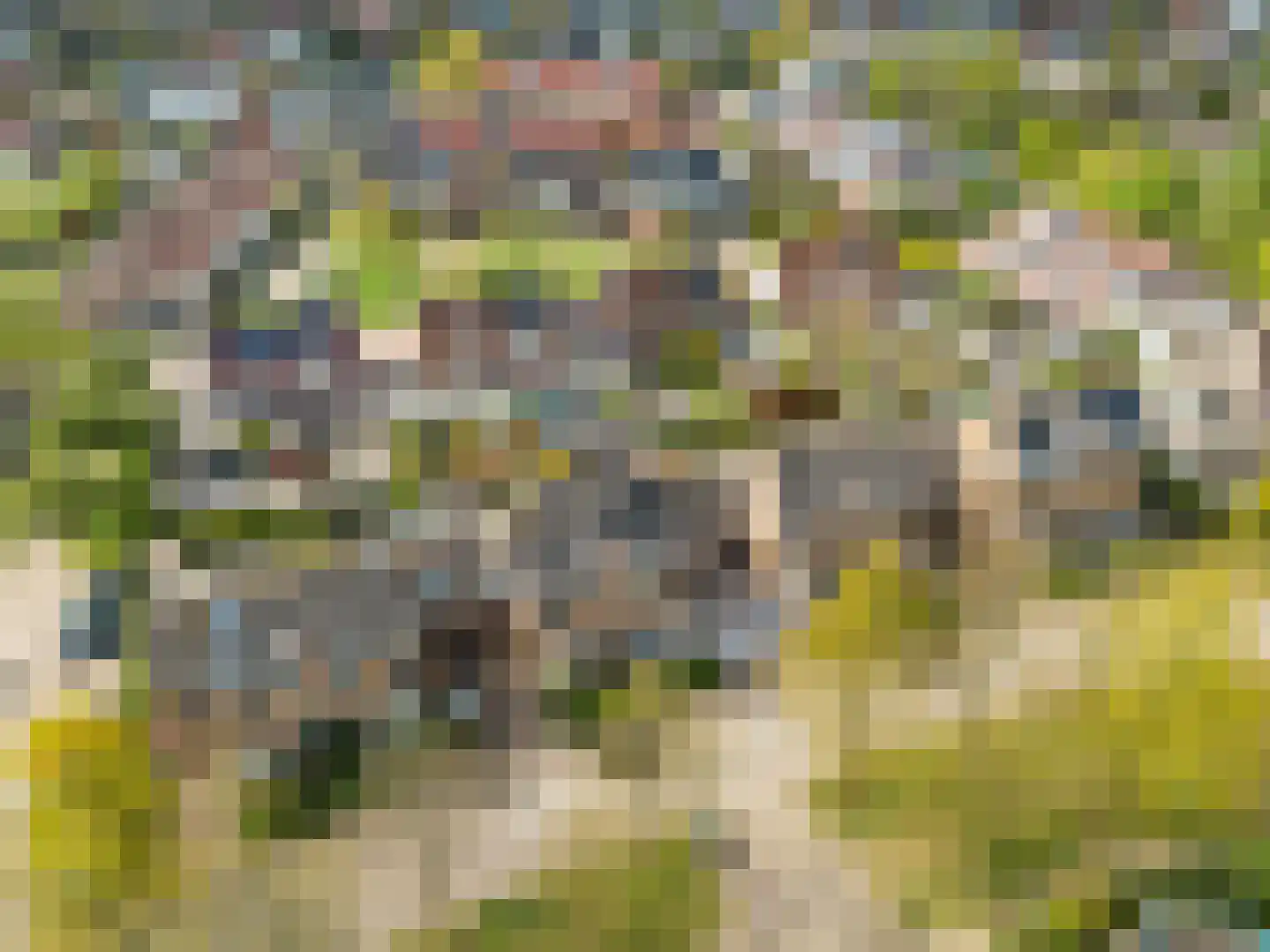 Heemraadserf 44 Houten thumbnail 54