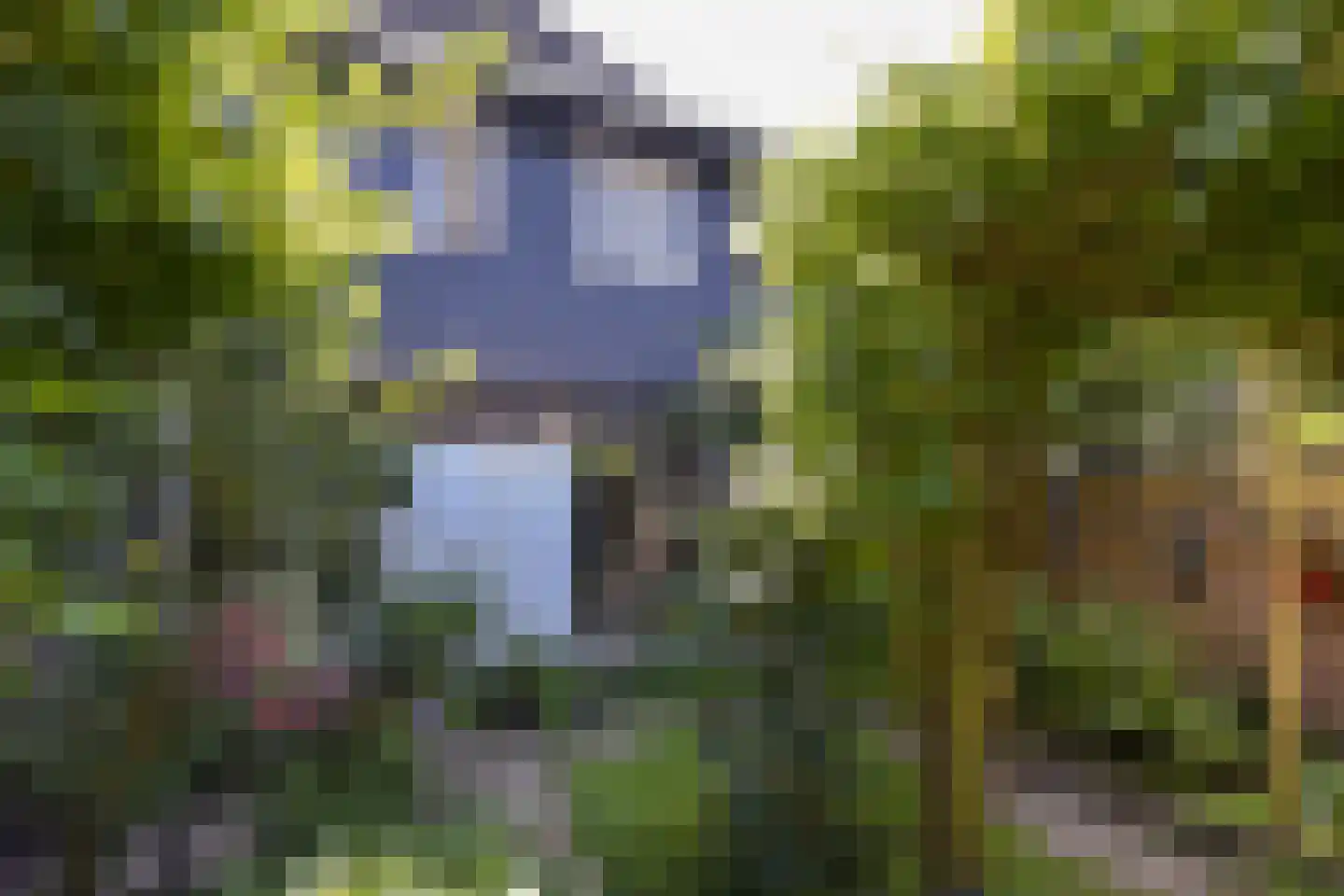 Heemraadsingel 13 Mijdrecht thumbnail 20