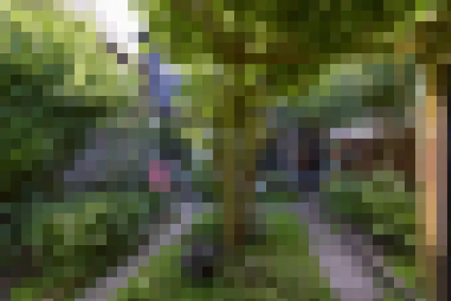Heemraadsingel 13 Mijdrecht thumbnail 22