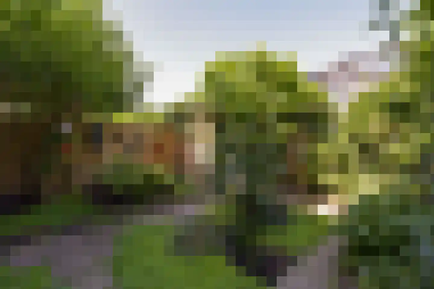 Heemraadsingel 13 Mijdrecht thumbnail 24
