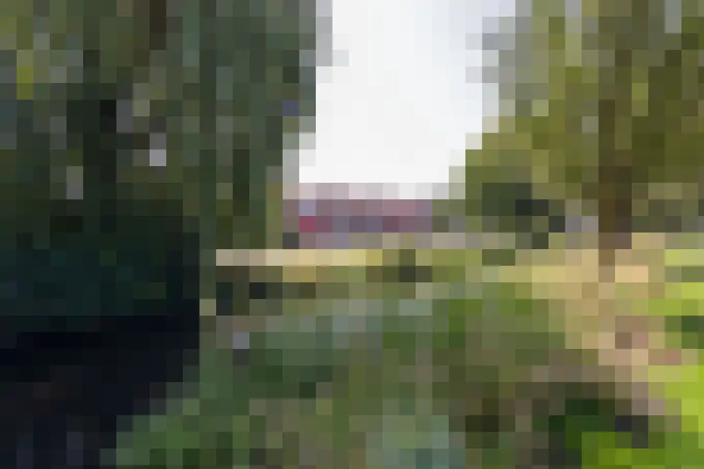 Heemraadsingel 13 Mijdrecht thumbnail 26