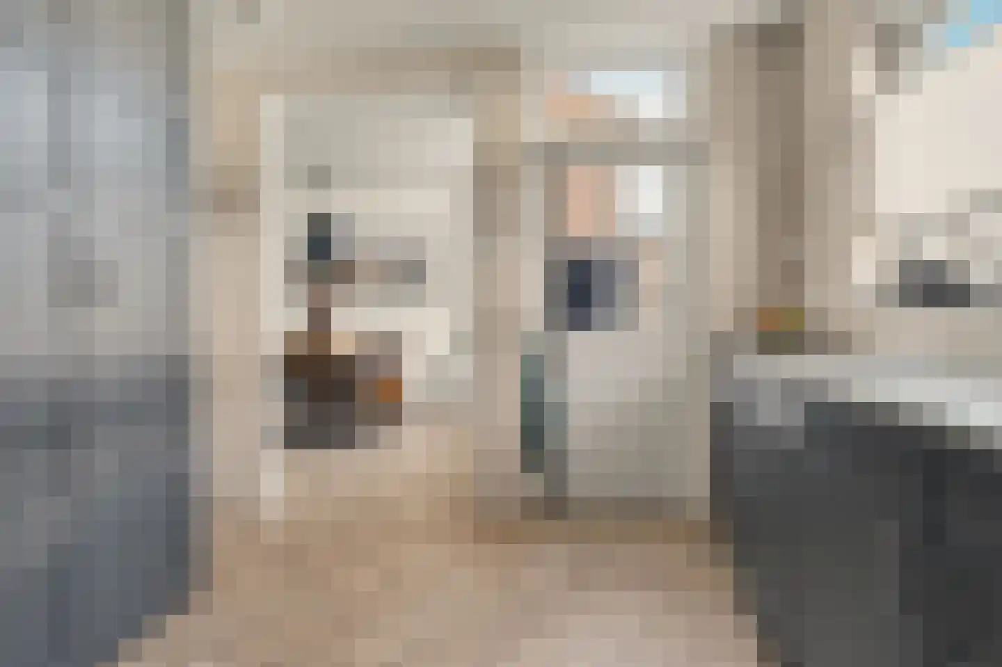 Heemraadsingel 16 Raamsdonk thumbnail 10