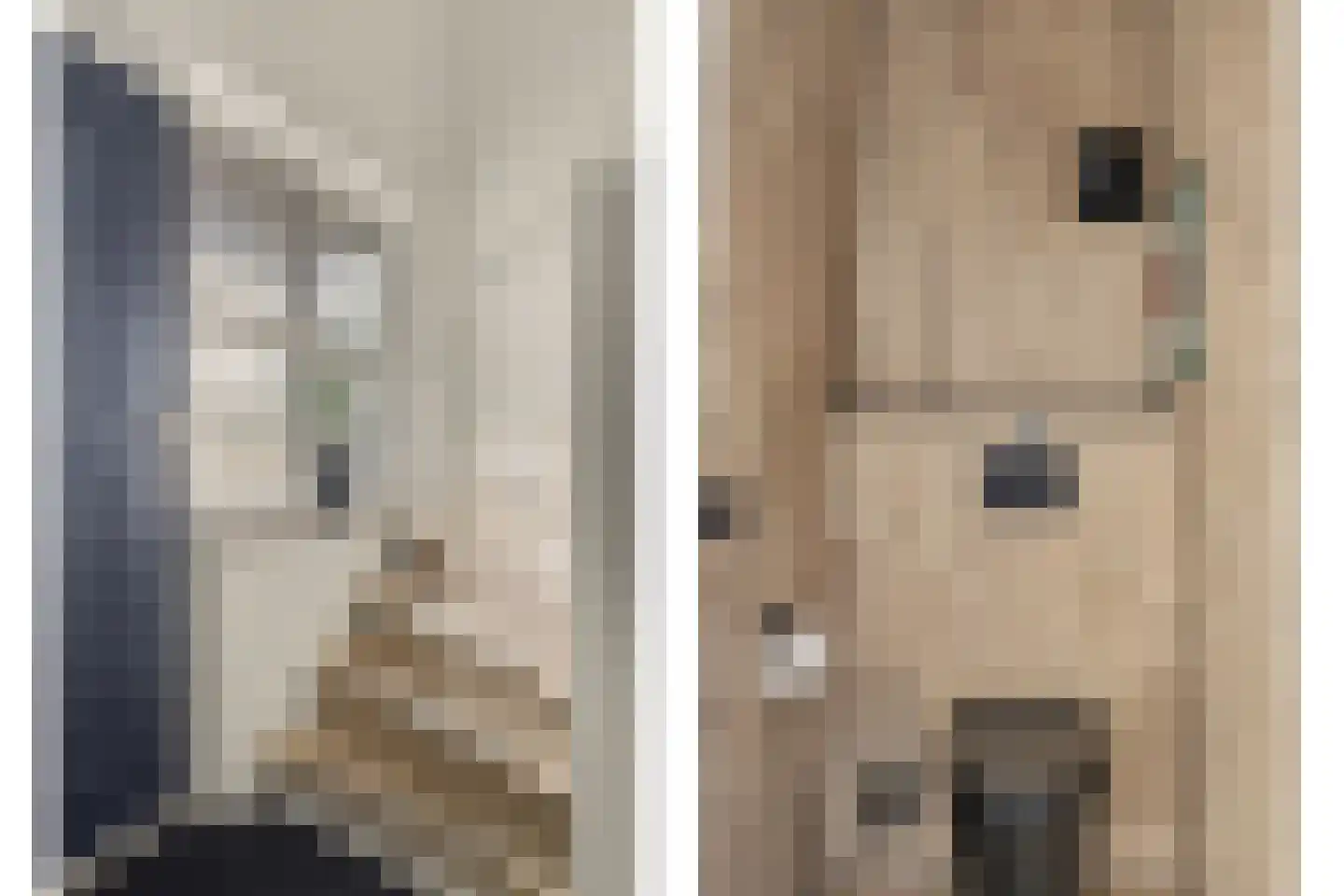 Heemraadsingel 16 Raamsdonk thumbnail 13