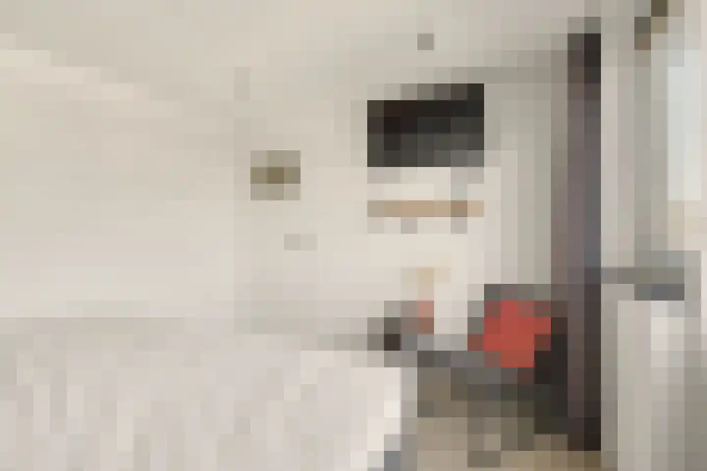 Heemraadsingel 16 Raamsdonk thumbnail 15