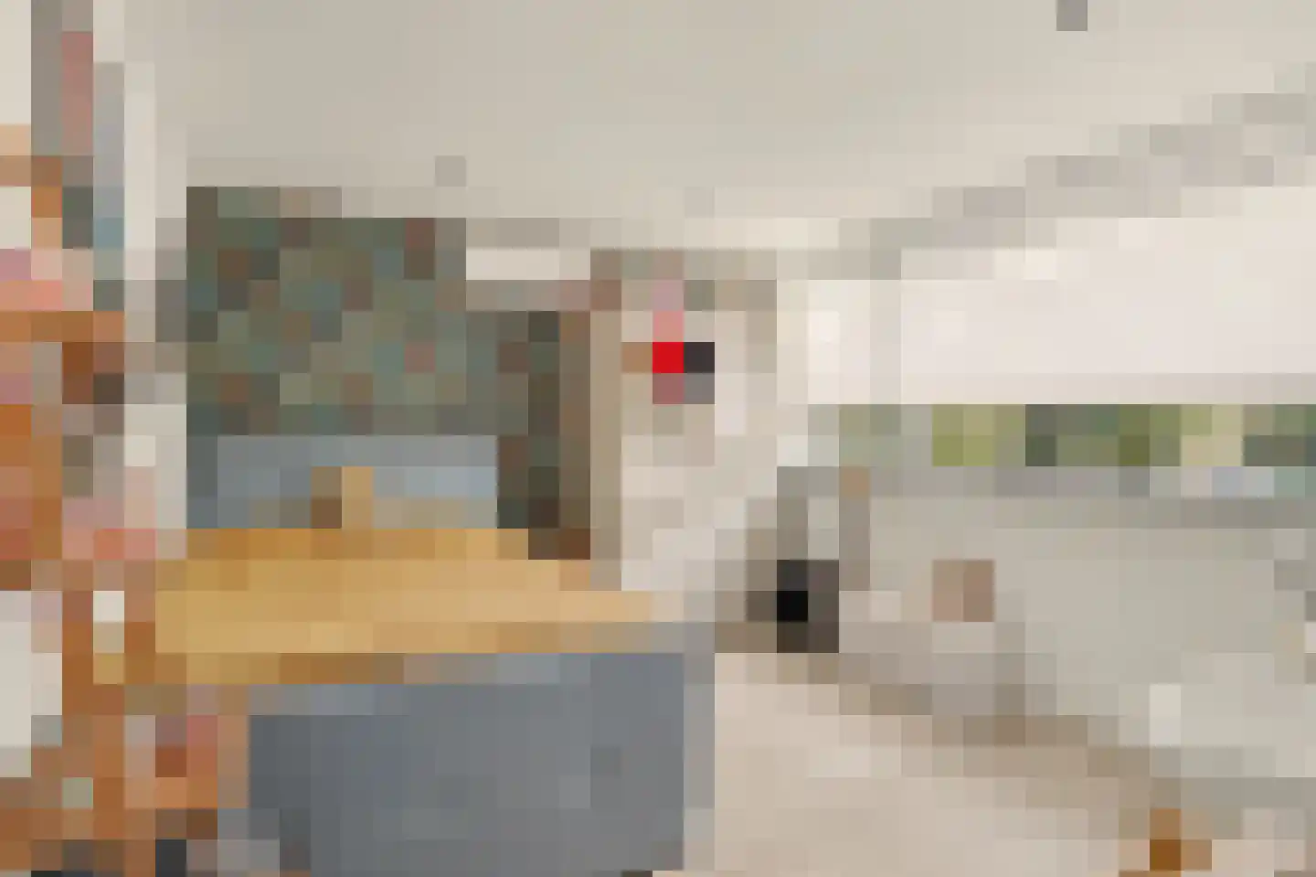 Heemraadsingel 16 Raamsdonk thumbnail 16