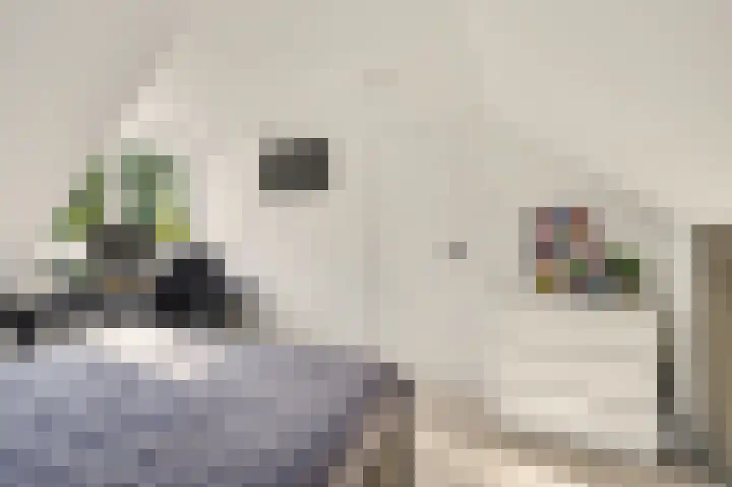 Heemraadsingel 16 Raamsdonk thumbnail 20
