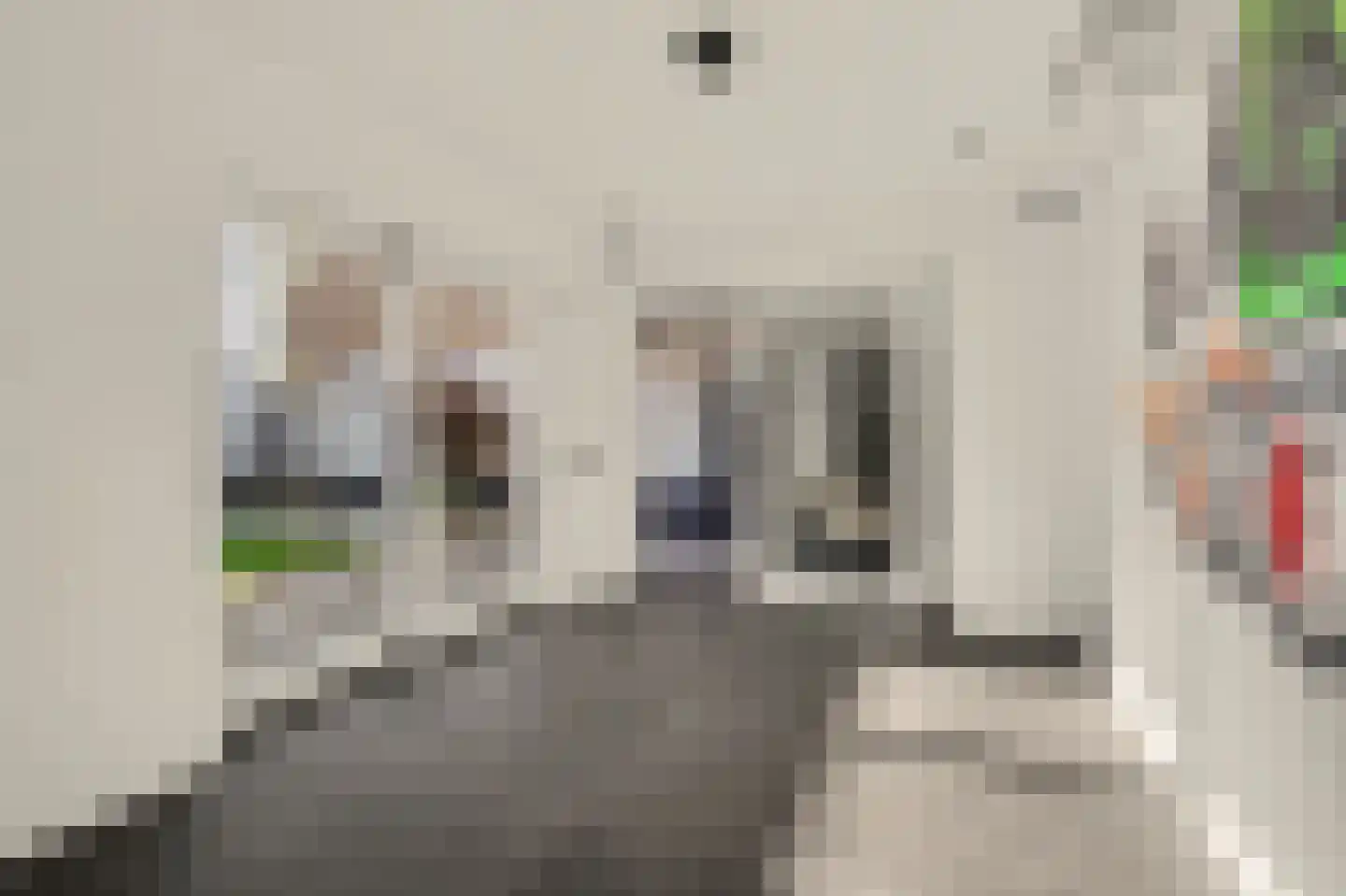 Heemraadsingel 16 Raamsdonk thumbnail 32