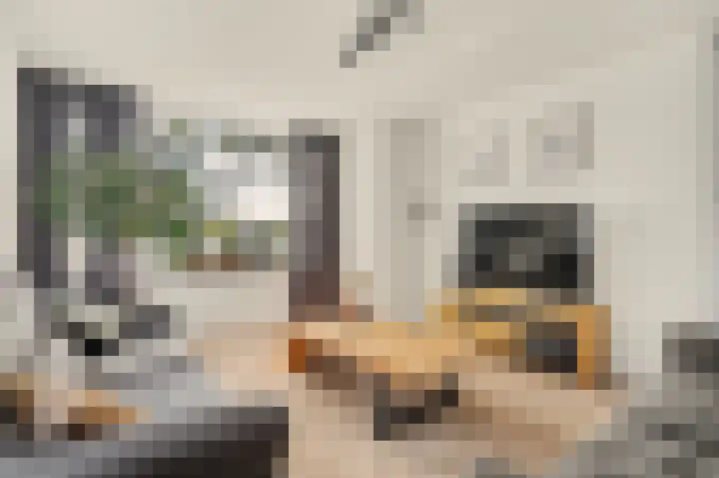 Heemraadsingel 16 Raamsdonk thumbnail 4