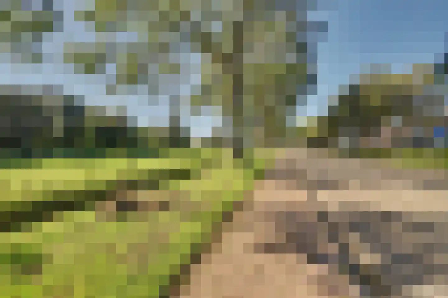 Heemraadsingel 16 Raamsdonk thumbnail 40