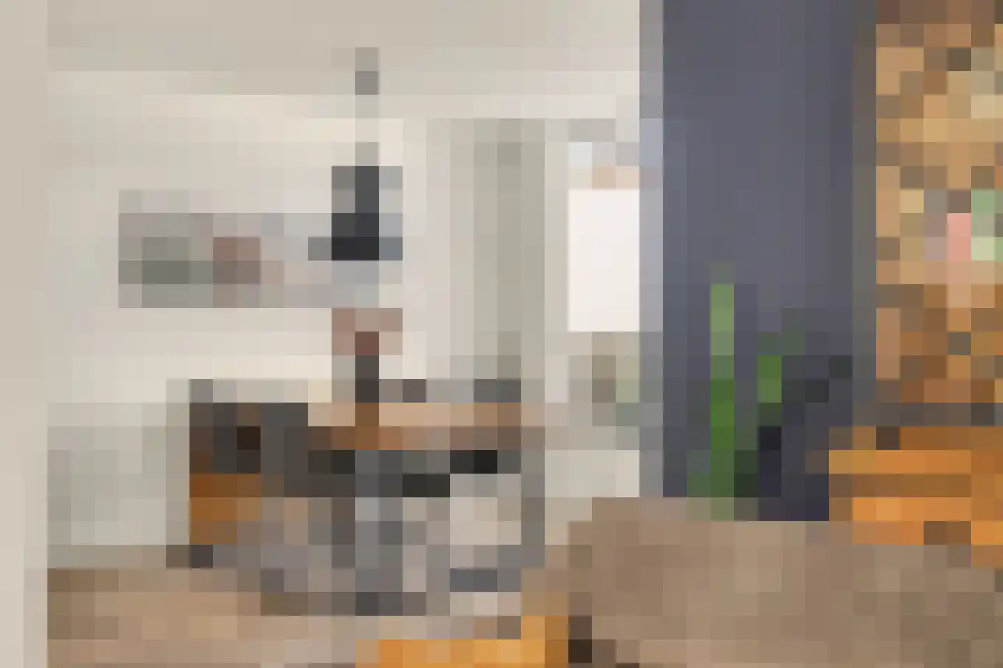 Heemraadsingel 16 Raamsdonk thumbnail 5