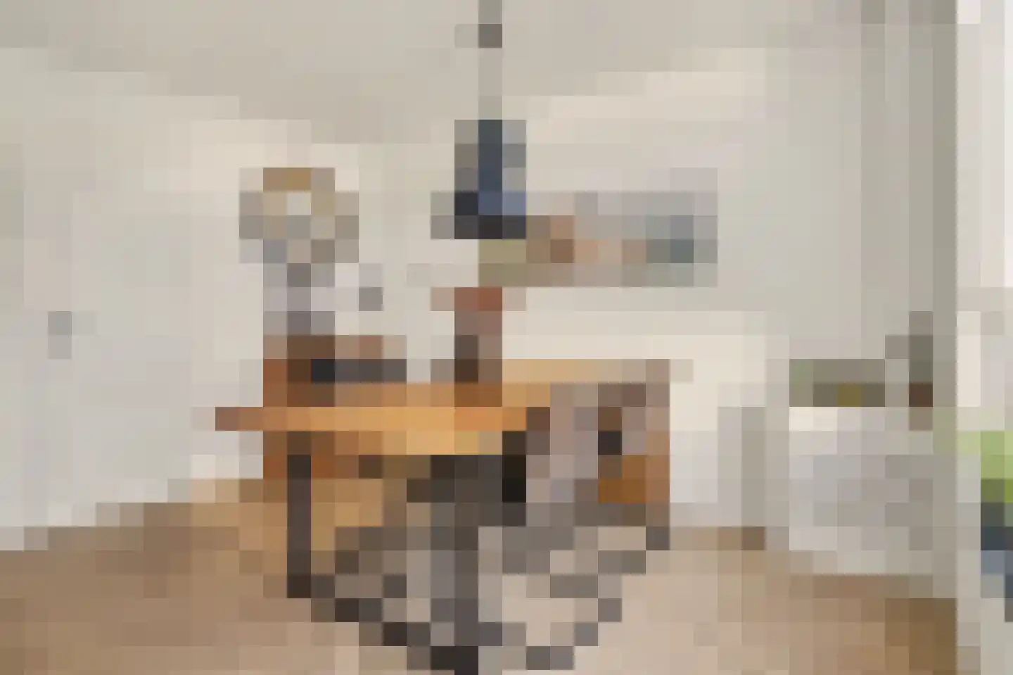 Heemraadsingel 16 Raamsdonk thumbnail 7