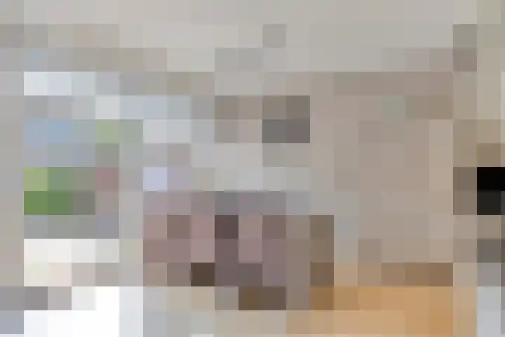 Heemraadsingel 21 Oudewater thumbnail 10