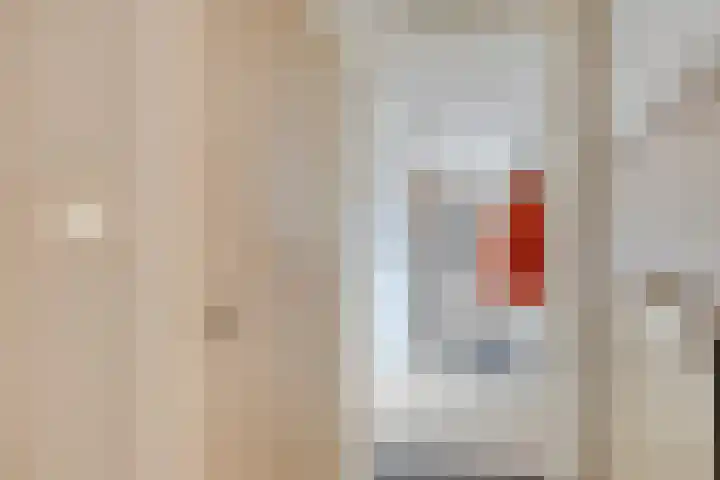 Heemraadsingel 21 Oudewater thumbnail 11
