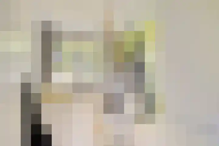 Heemraadsingel 21 Oudewater thumbnail 20