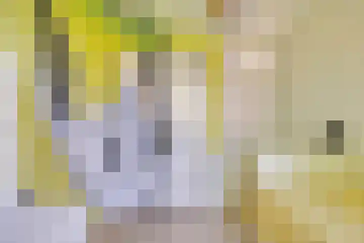 Heemraadsingel 21 Oudewater thumbnail 21