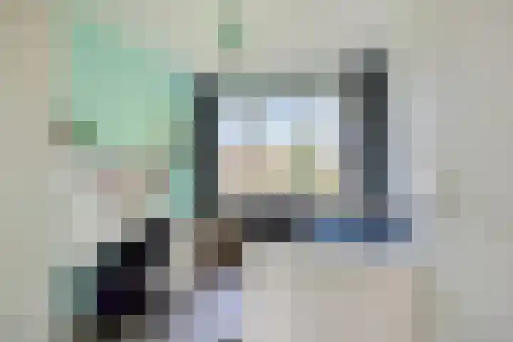 Heemraadsingel 21 Oudewater thumbnail 22