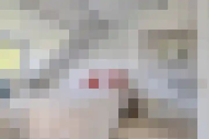 Heemraadsingel 21 Oudewater thumbnail 25